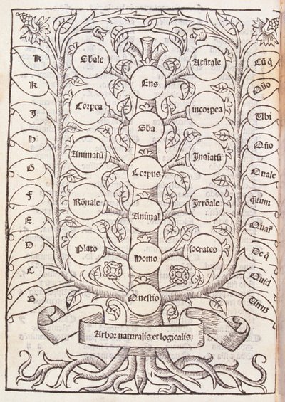Celestial Ladder from 